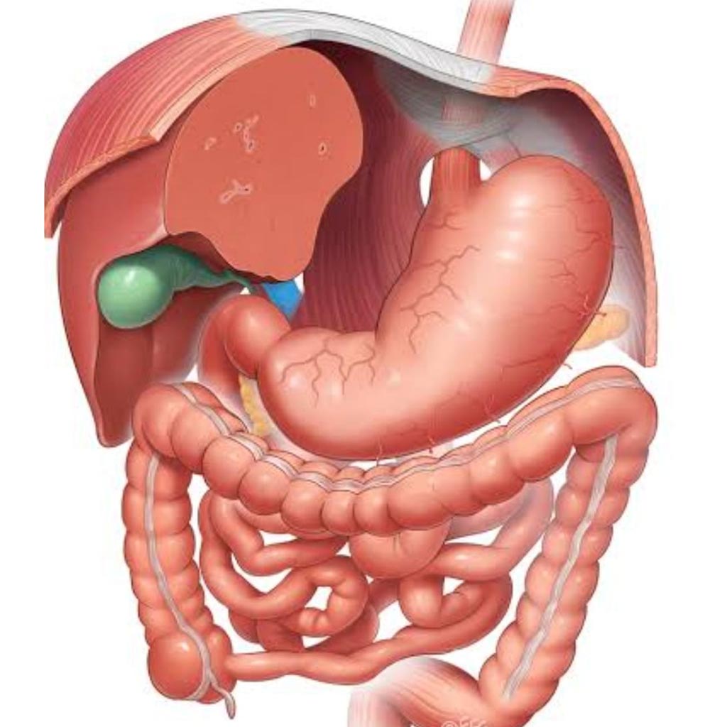 Tüp Mide Ameliyatı Fiyatları